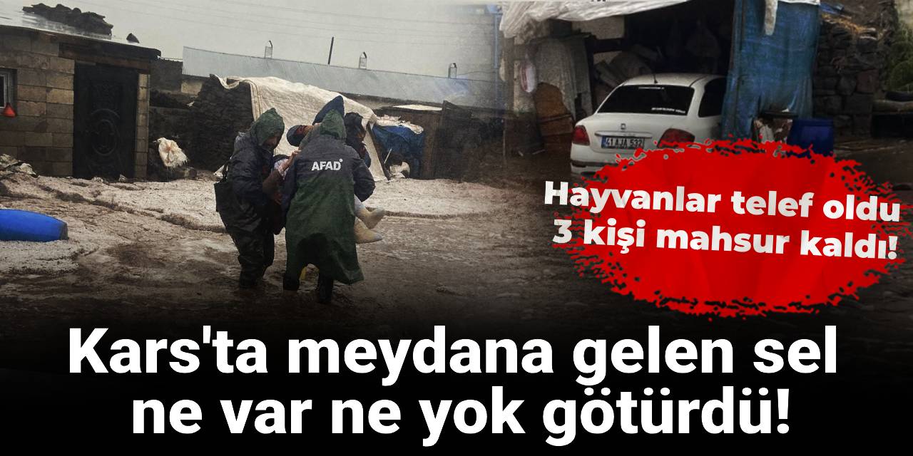 Kars'ta meydana gelen sel ne var ne yok götürdü! Hayvanlar telef oldu, 3 kişi mahsur kaldı