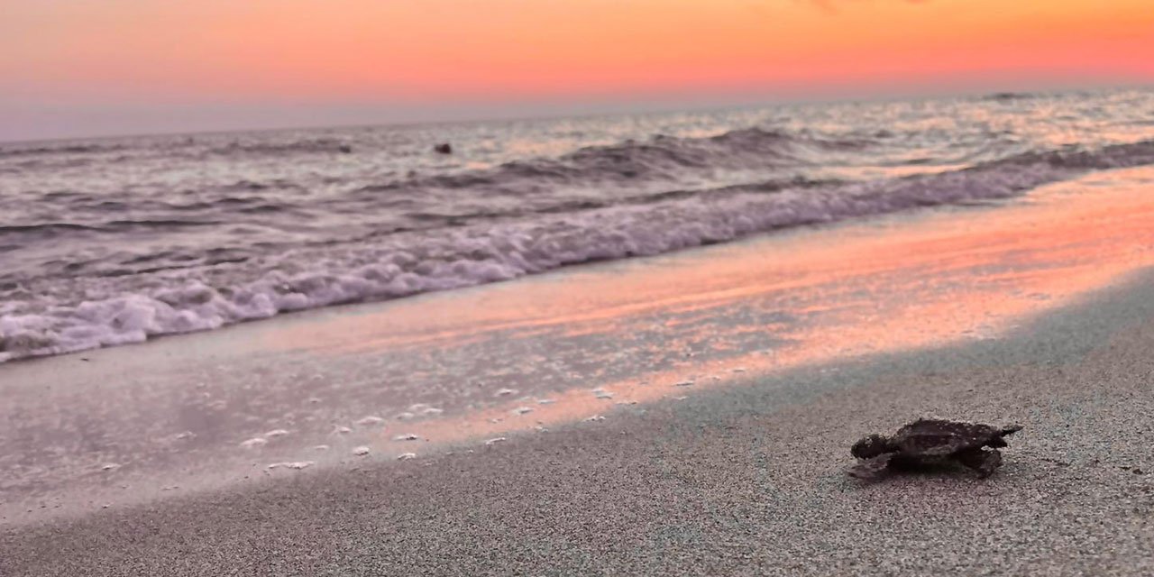 Akdeniz'in incisi Patara eylem planı ile korunacak