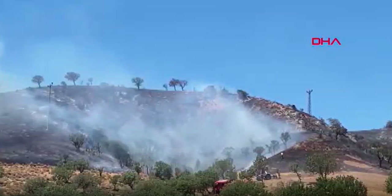 Çanakkale'deki yangın 2,5 saatte kontrol altına alındı