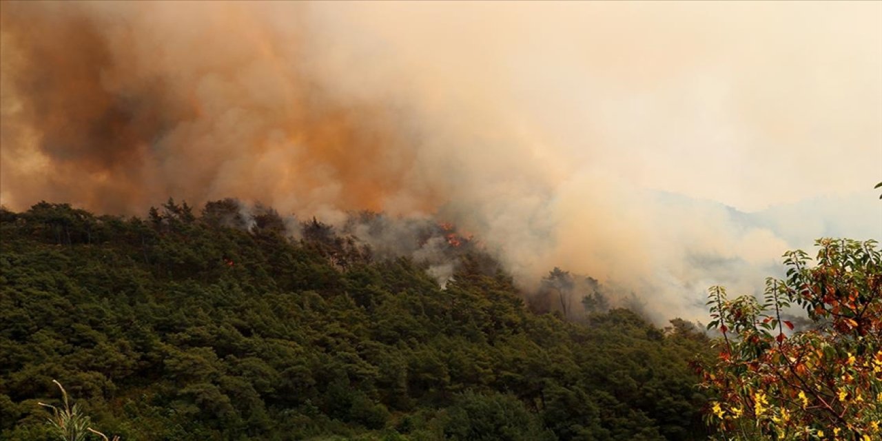 Bayırbucak'ta orman yangını 4 gündür söndürülemedi