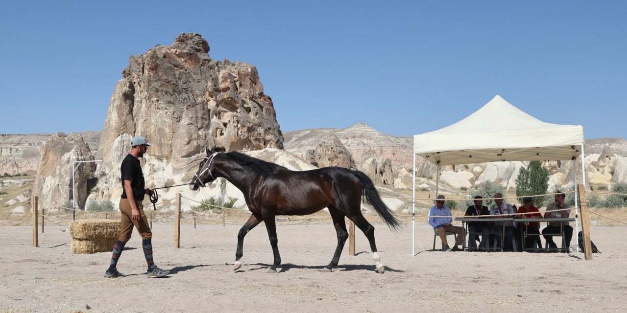 Aşıklar şehrinin güzelleri podyuma çıktı