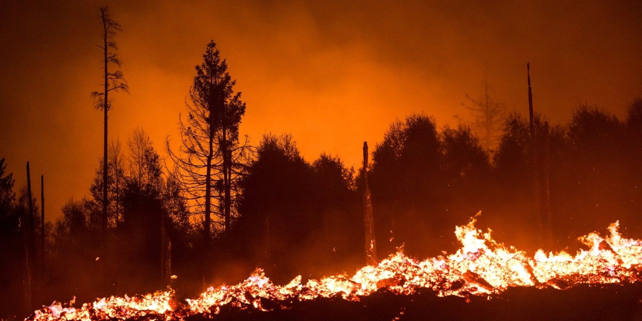 Almanya üç eyaletindeki yangınlarla mücadele ediyor