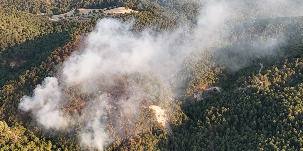 Bolu'da orman yangını: Yangına havadan ve karadan müdahale sürüyor