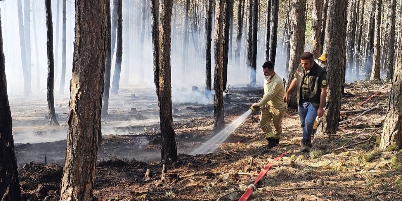 Ormanlık alanda çıkan yangın kontrol altında