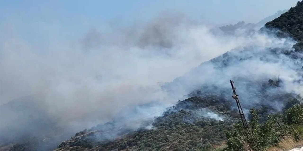 Bir orman yangını daha kontrol altında