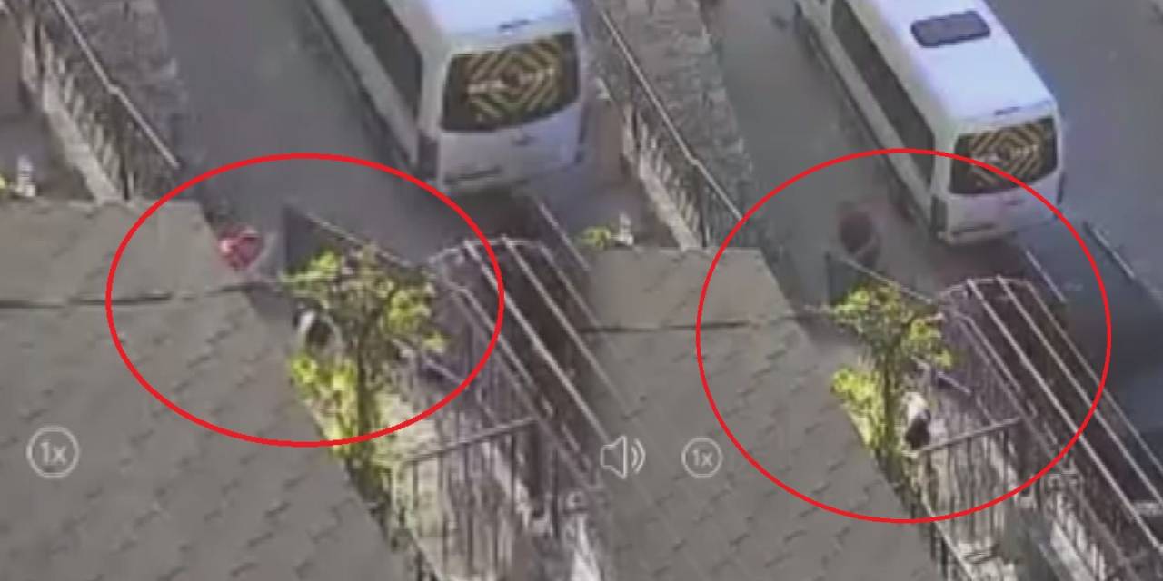 Sokak köpeğine taş ve sopayla saldırdı!