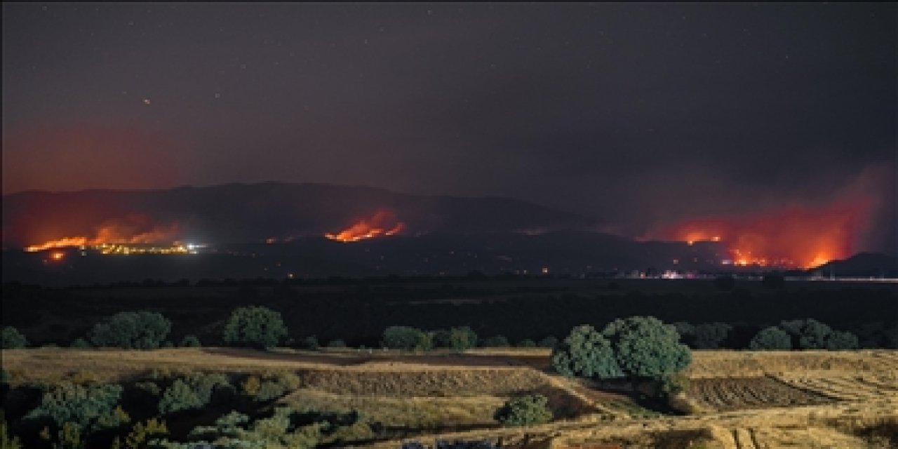 Orman yangınlarında 1 kişi hayatını kaybetti 14 kişi yaralandı