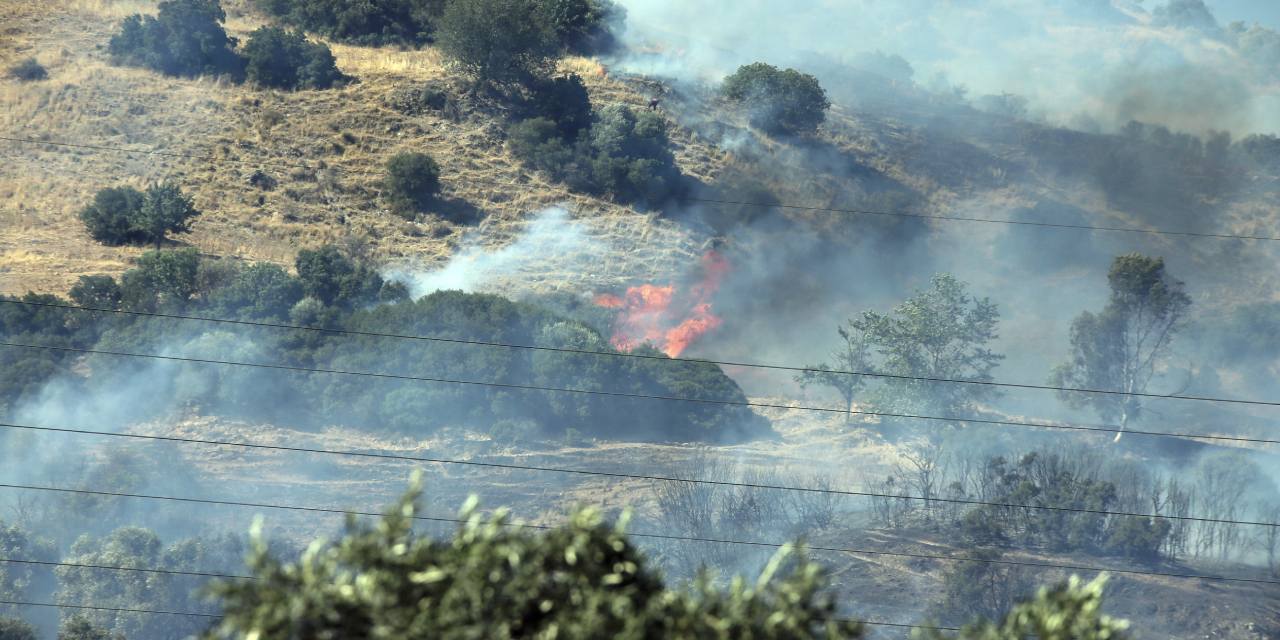 Aydın’da zeytinlik yangını: Baba ve oğlu gözaltında