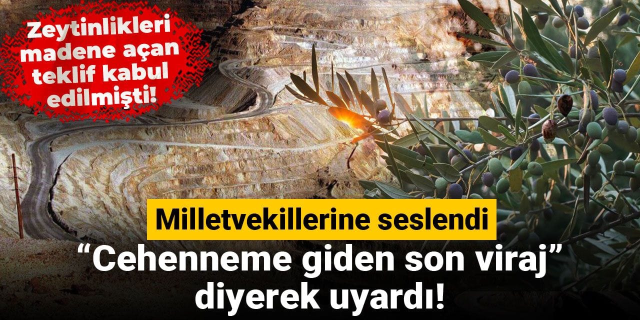 Zeytinliklere maden tehdidi! Milletvekillerine seslendi, “Cehenneme giden son viraj” diyerek uyardı!