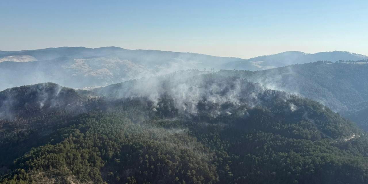 Balıkesir'deki orman yangını 2'nci gününde