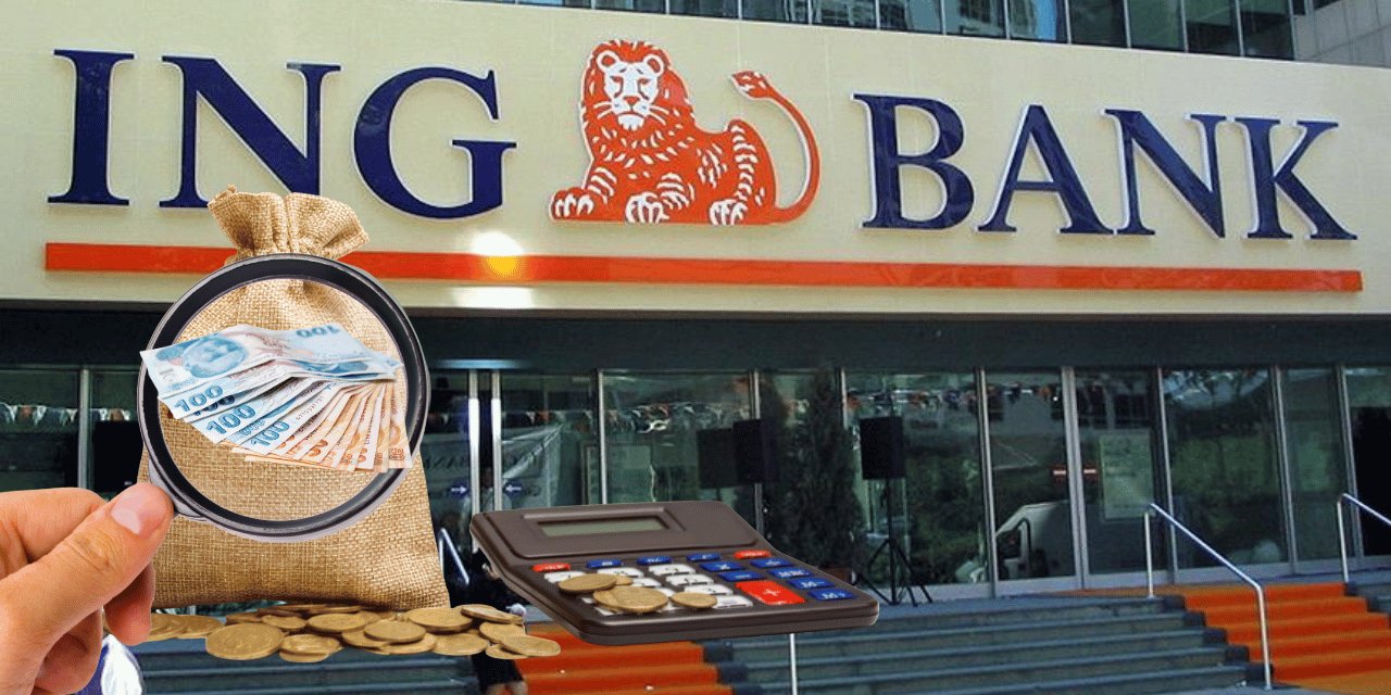 ING araştırdı, birikimi nereye koyduklarını buldu!