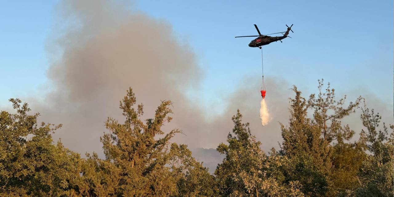 Bursa'da korkutan orman yangını!