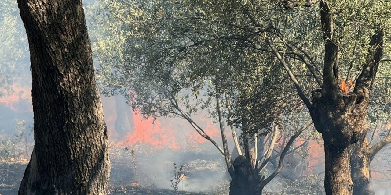 Aynı anda çıkan 4 yangın söndürüldü