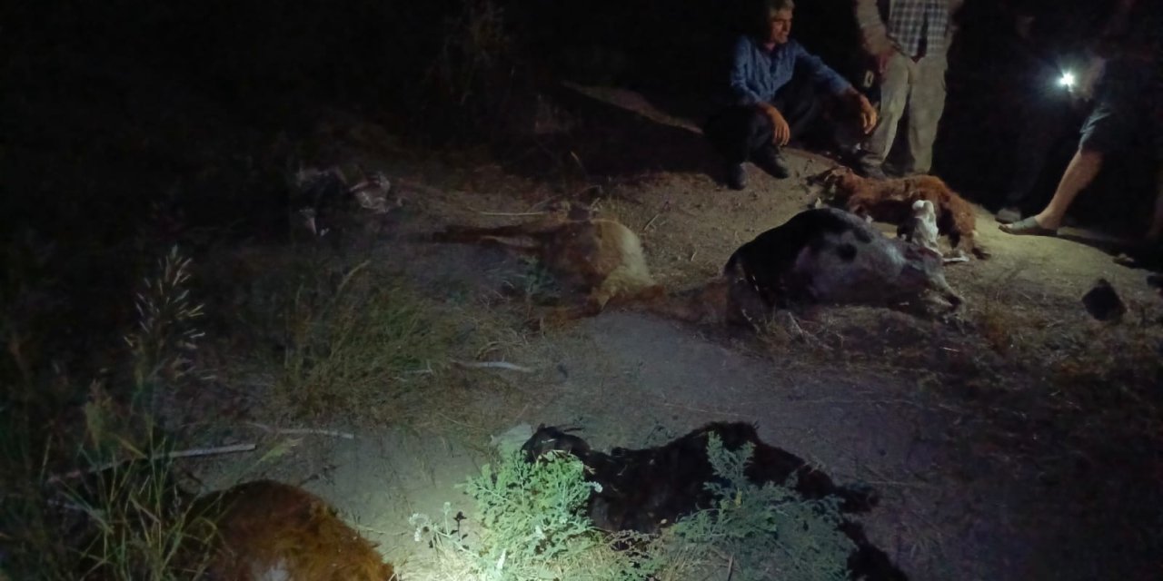 Sanayi bölgesinden geçen dereden su içen 65 küçükbaş hayvan öldü