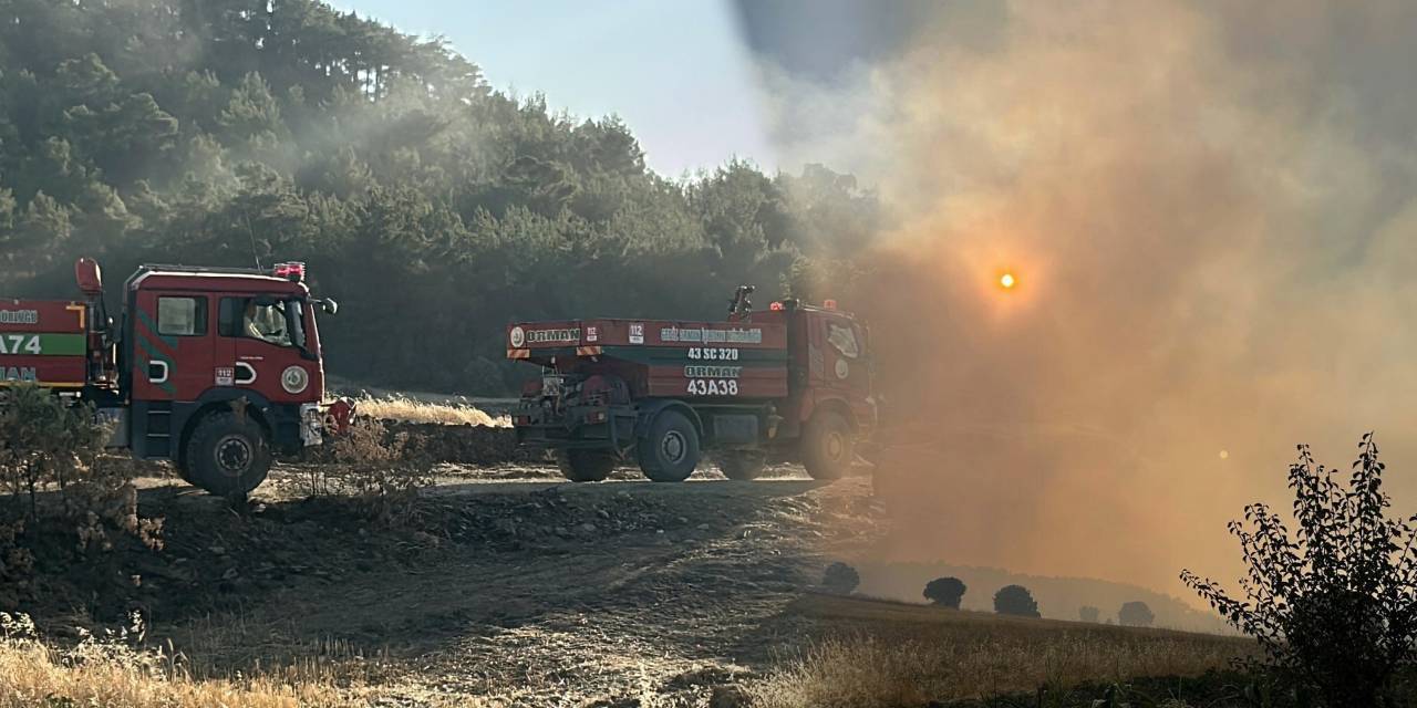 Tarladan ormana sıçrayan yangın 11 saatte kontrol altında! 2 gözaltı