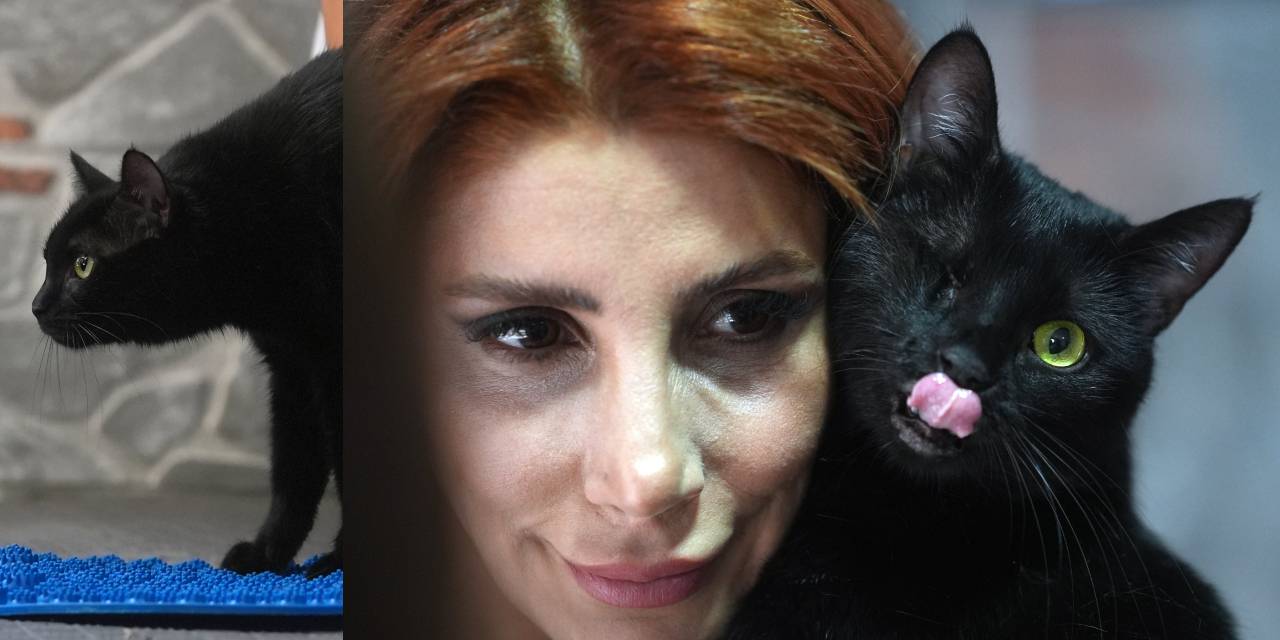 Zeytin patileri ile yaşama tutundu