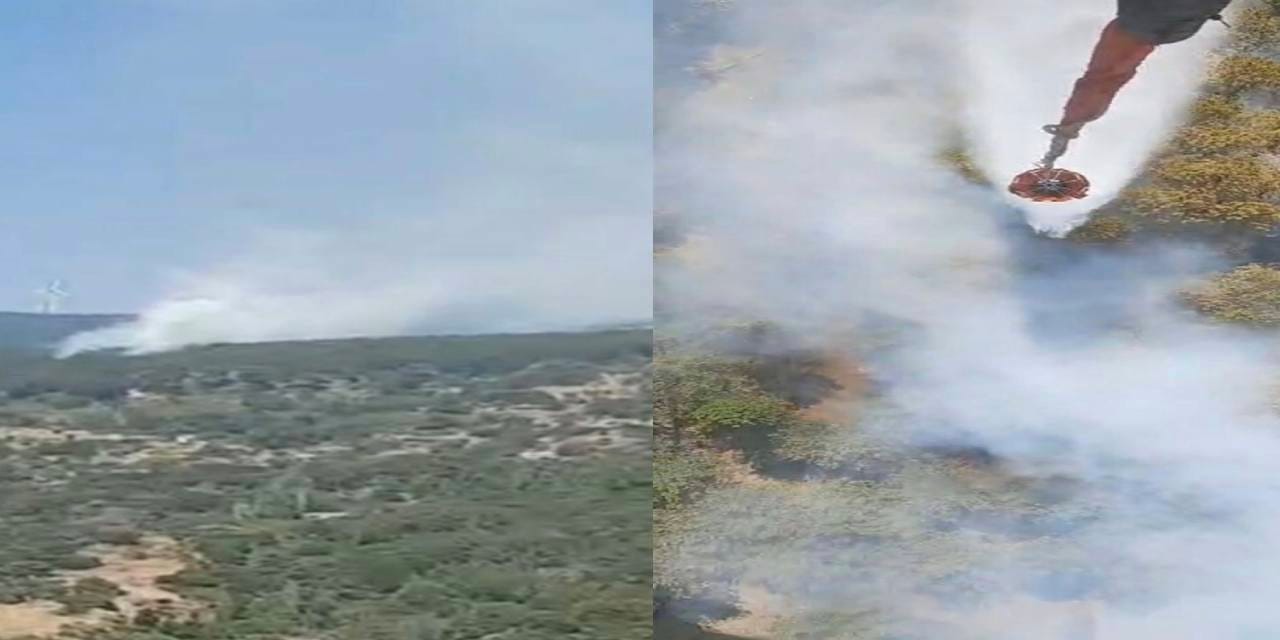 Aydın'da orman yangını! Havadan ve karadan müdahale