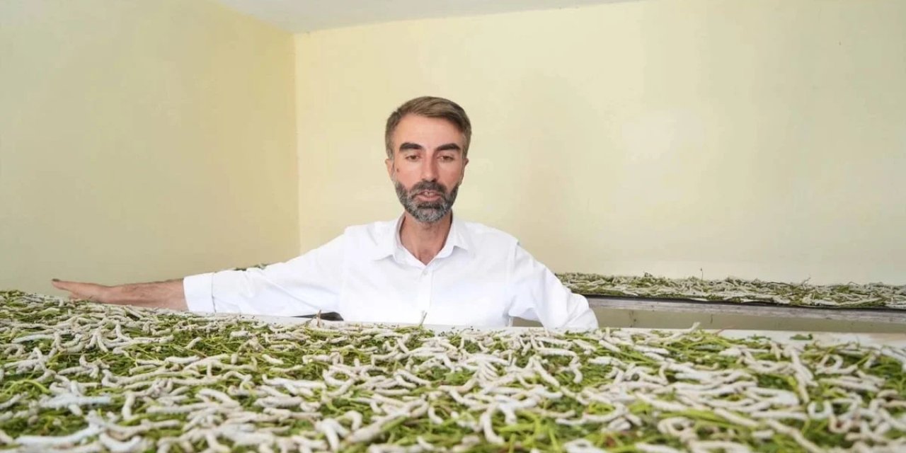 Bir yaprak bir böcek Koç'a servet kazandırdı: Dalga geçenler kazanca inanamadı