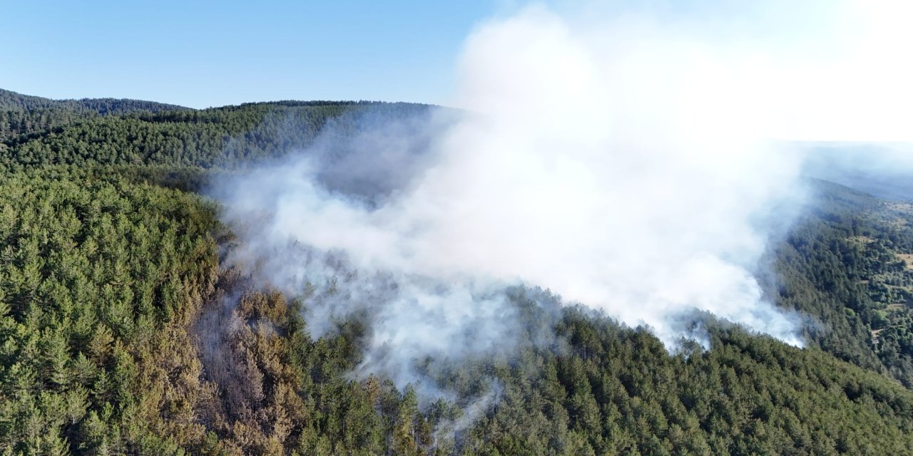 4 gün önce yanan ormanlık alanda yine yangın çıktı
