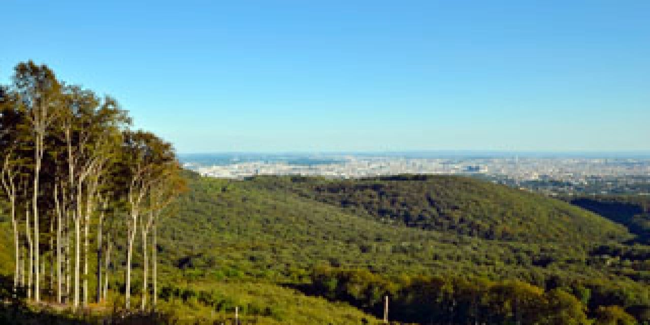 Devlet o şehirde mangalı ve sigara içmeyi tamamen yasakladı