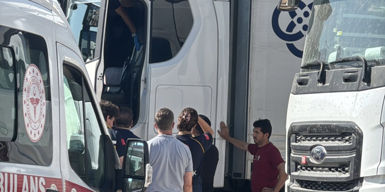 Tır şoförü aracında ölü bulundu