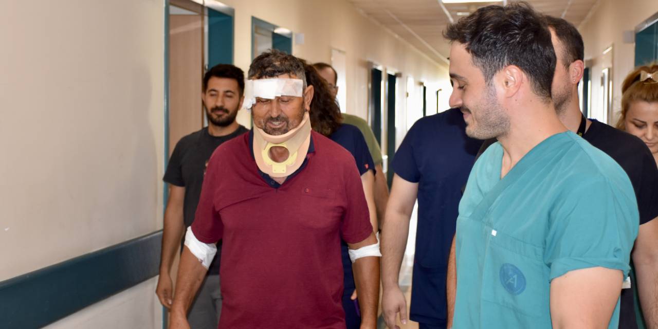 Zeus'un saldırdığı çoban taburcu oldu: Aslanın bir suçu yok