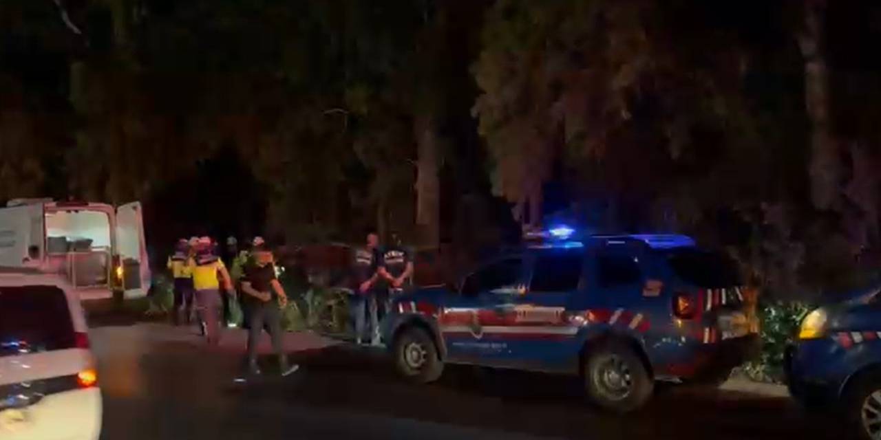 Kontrolünü kaybeden sürücü ağaçlık alana düştü: İki kişi hayatını kaybetti