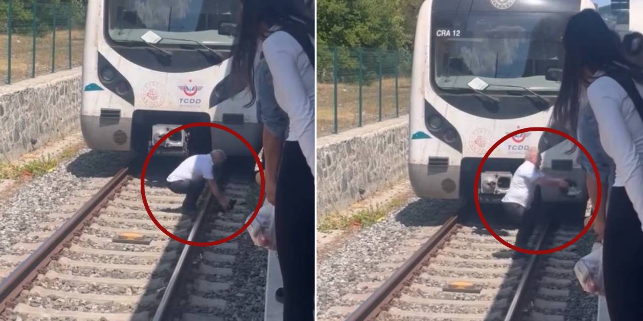 Raylardaki kediyi fark etti, treni durdurup yanına koştu
