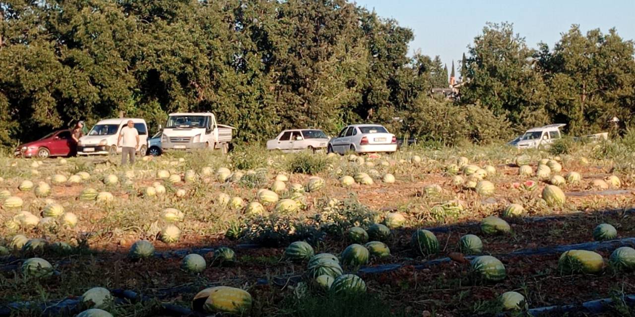 Sosyal medyadan çağrı yaptı: 120 ton karpuzu bedava dağıttı