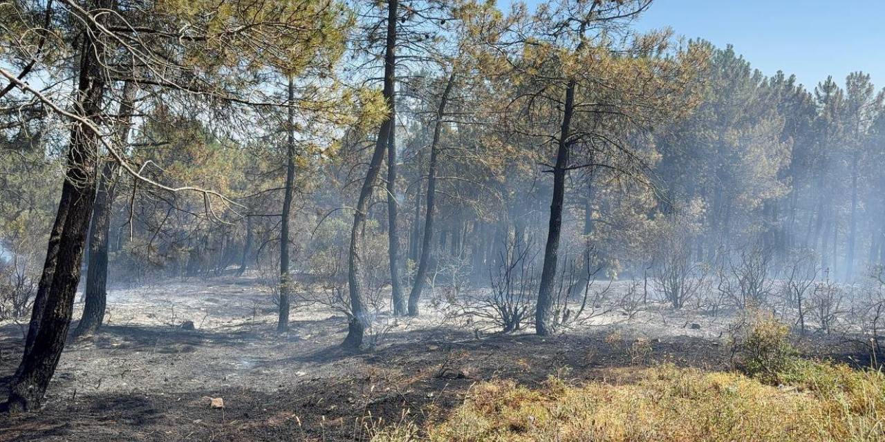 İstanbul'da yerleşim yerlerinin dibinde çıkan yangın söndürüldü
