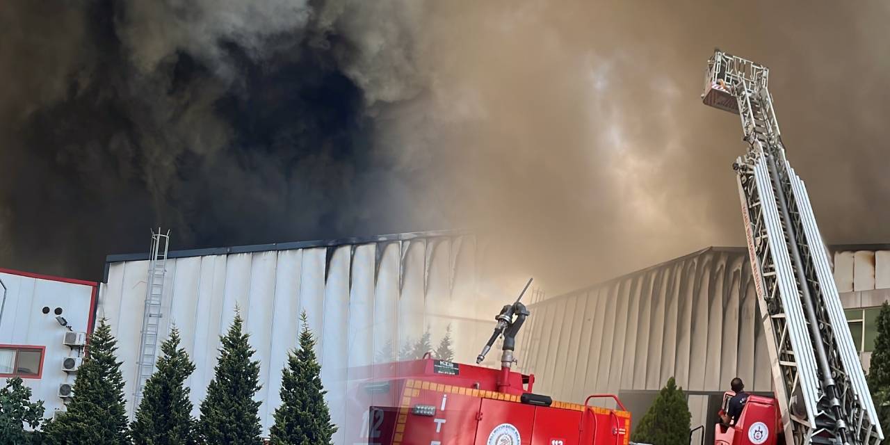 Kocaeli'de yangın paniği!