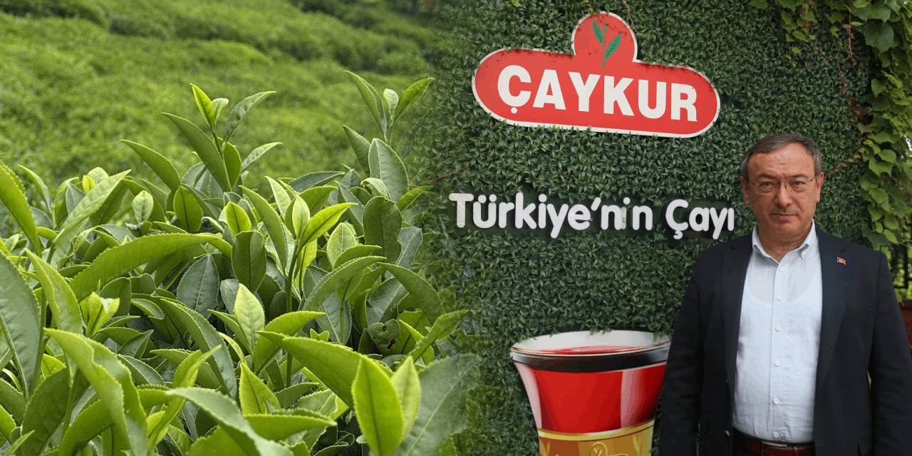 ÇAYKUR Genel Müdürü Alim: İkinci sürgünde çayın tamamını alacağız, acele etmeyin