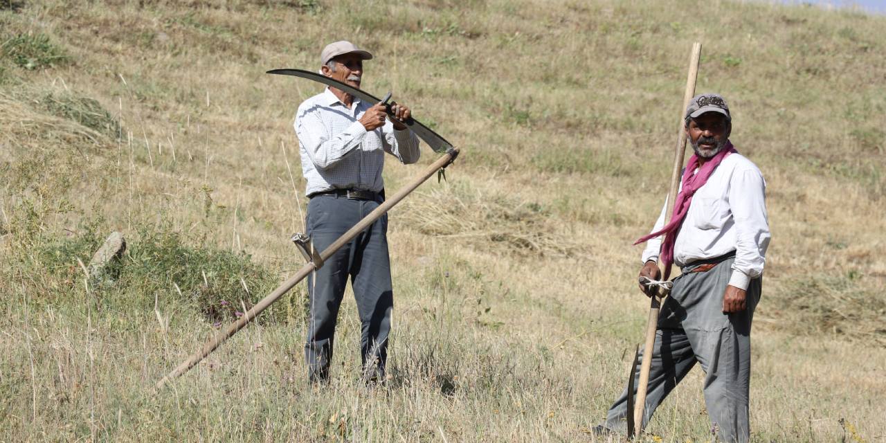 Ağrı'da asırlık gelenek: Dağlık bölgelerdeki araziler tırpanlarla imece usulü biçiliyor