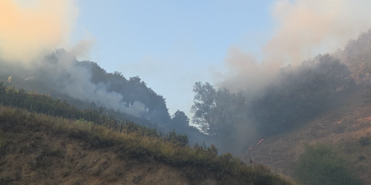 Bursa-Yalova sınırında orman yangını