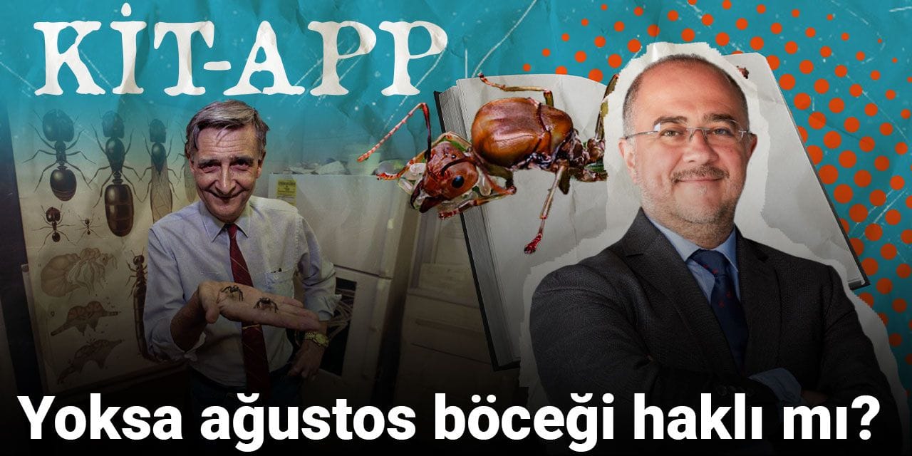 Yoksa ağustos böceği haklı mı?