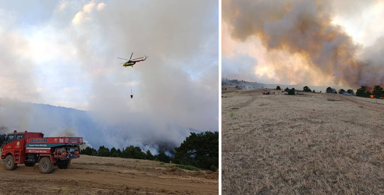 Konya'da orman yangını! Çevre illerden helikopter sevk edildi