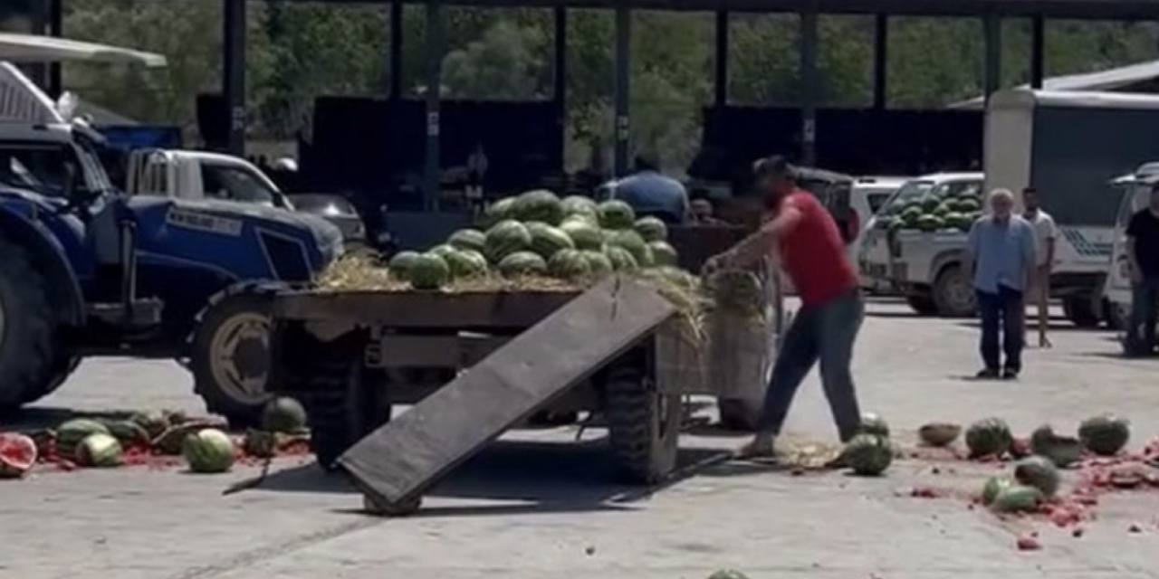 Bu da karpuz parçalama cezası! Bakanlık inceleme başlattı
