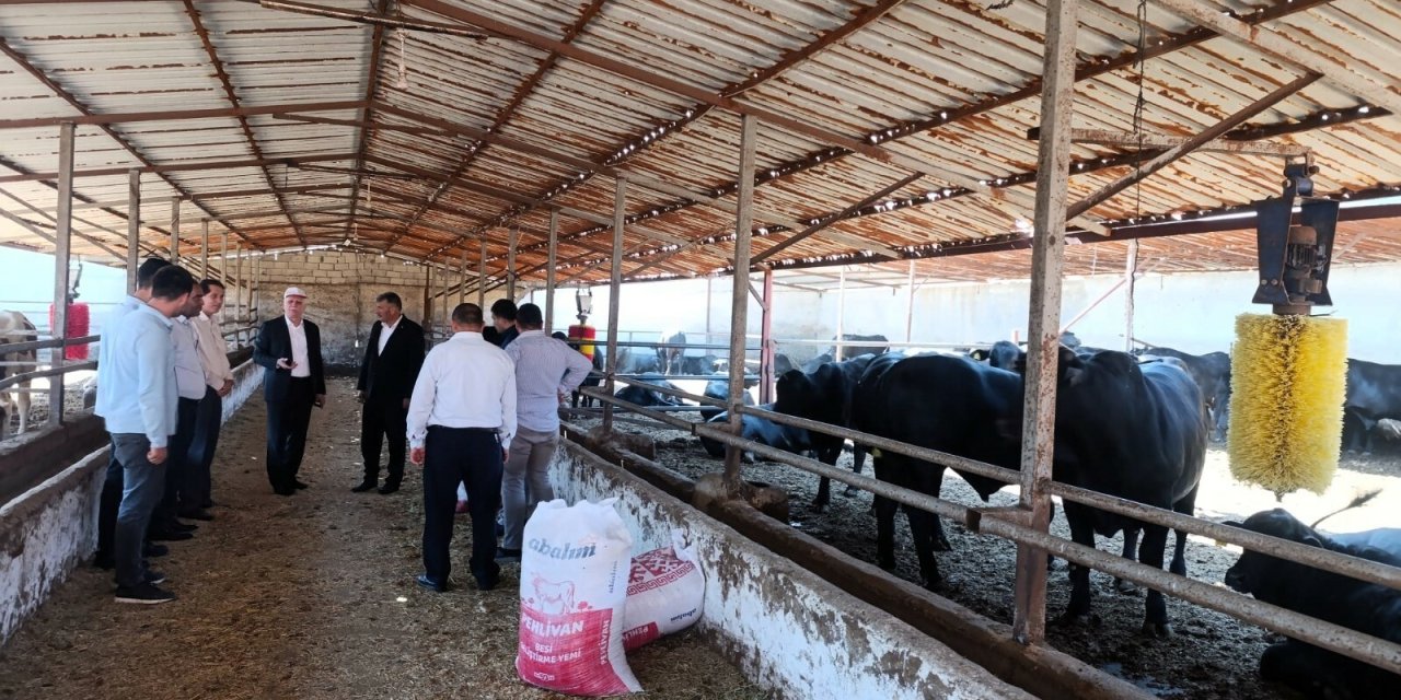 Kaçakçılığın bedeli! "Ölümcül ve tehlikeli"