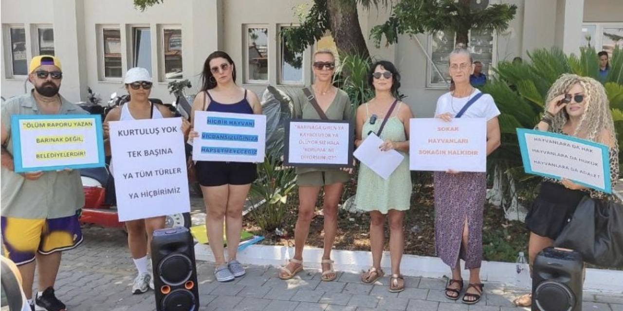 Barınak kapatıldı, zabıta protesto edildi