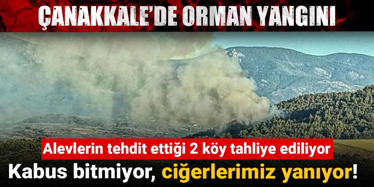 Kabus bitmiyor, ciğerlerimiz yanıyor! Çanakkale’de orman yangını
