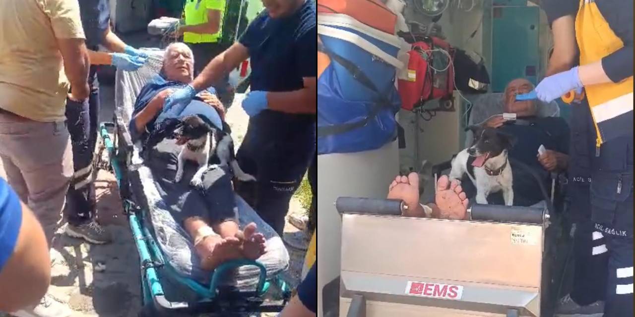 Köpeğin vefası duygulandırdı: Bir an olsun yanından ayrılmadı