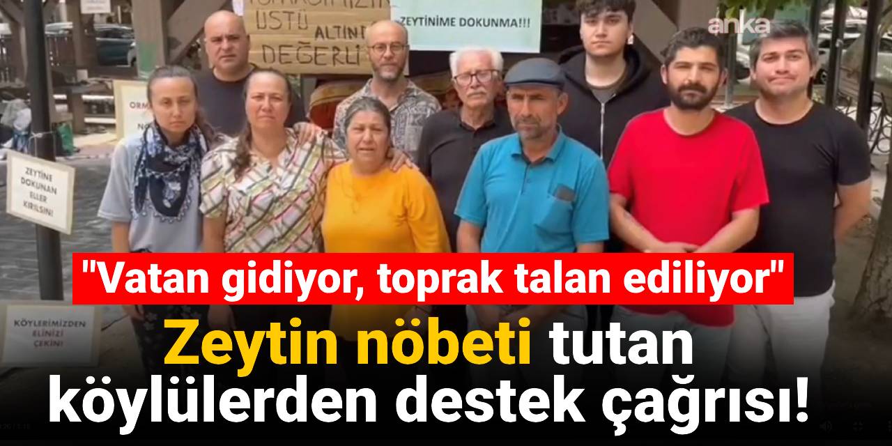Zeytin nöbeti tutan köylülerden destek çağrısı: Vatan gidiyor, toprak talan ediliyor
