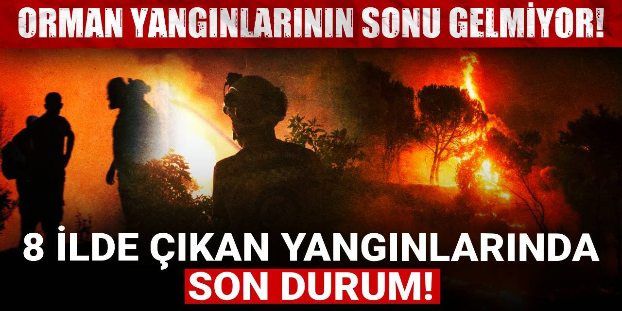 Orman yangınlarının sonu gelmiyor: 8 ilde çıkan yangınlarında son durum