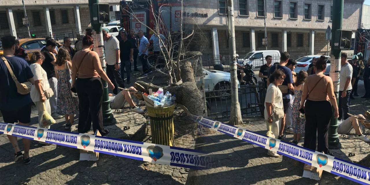 Kaldırımdaki yayaların üzerine ağaç devrildi