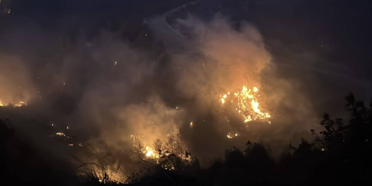 Mersin'deki orman yangınında 1 tutuklama!