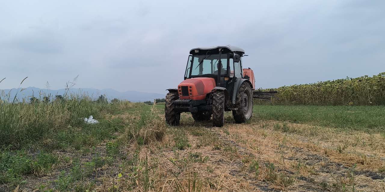 Sofradan 7 ayda 295 ekmek eksildi!