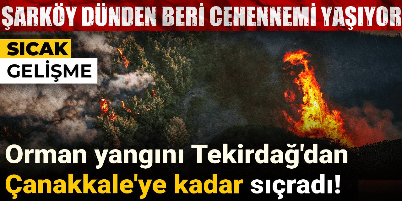 Şarköy dünden beri cehennemi yaşıyor! Tekirdağ'dan Çanakkale'ye kadar sıçradı