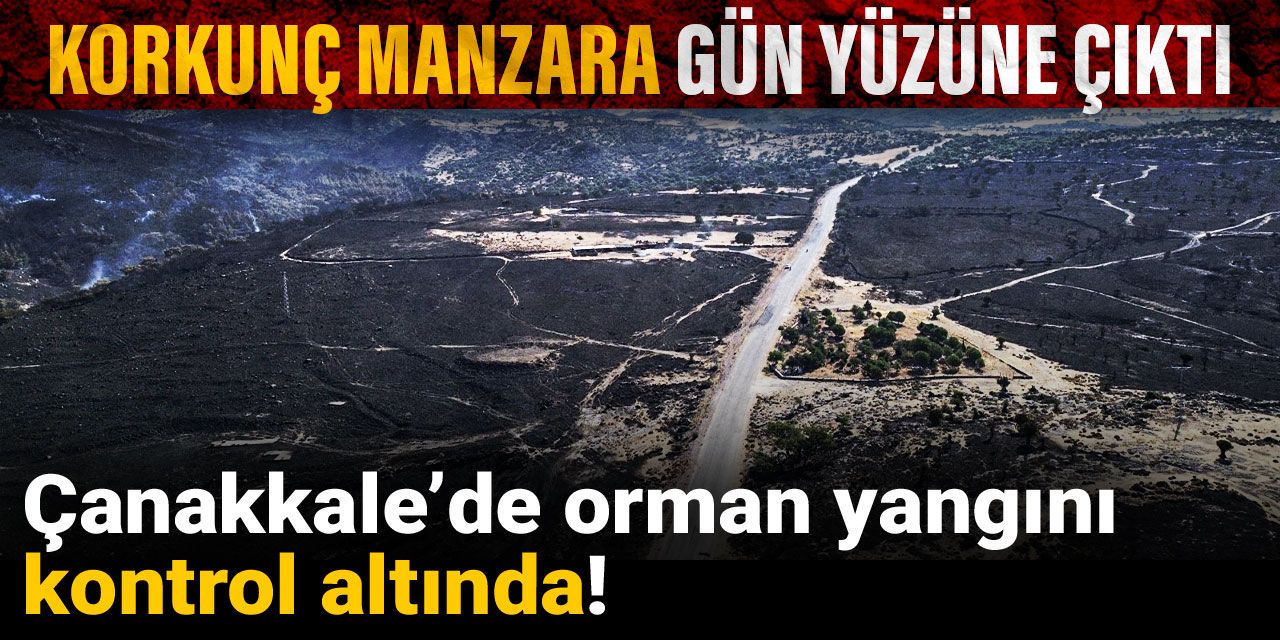 Çanakkale’de orman yangını kontrol altında! Korkunç manzara gün yüzüne çıktı