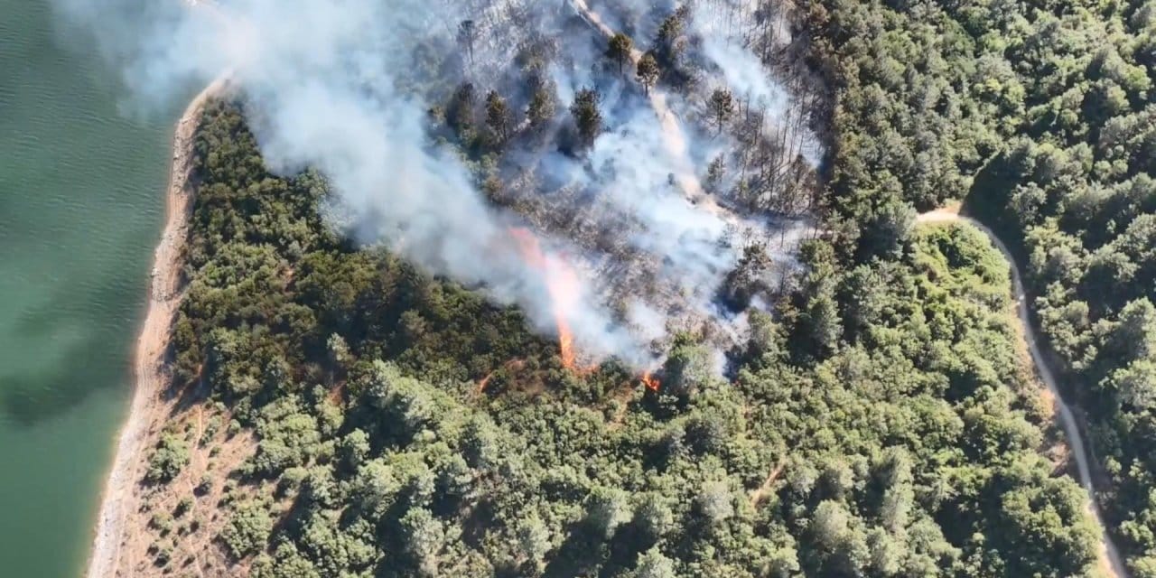 İstanbul'da orman yangını