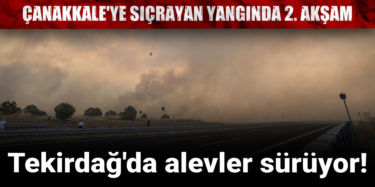 Tekirdağ'dan Çanakkale'ye sıçrayan orman yangını devam ediyor!